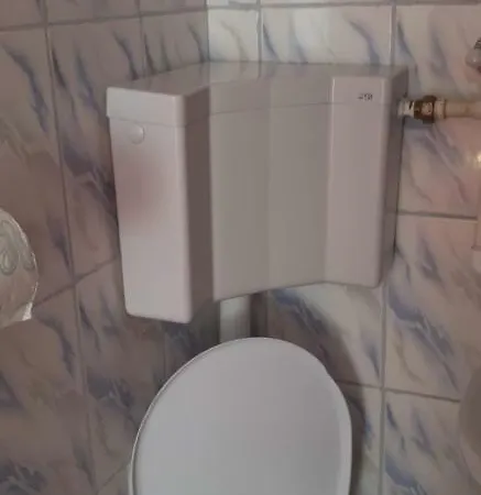 Гостевой дом Casa Silvian *